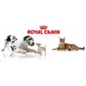 Royal Canin