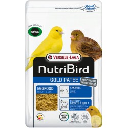 Gold pätée canari