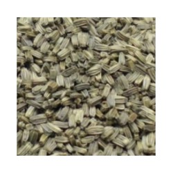 Cardère (chardon sauvage) 500 g  vrac