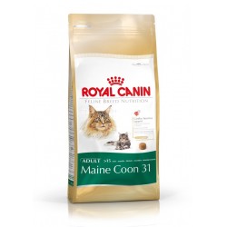 Royal Canin Maine Coon pour chat 