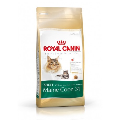 Royal Canin Maine Coon pour chat 