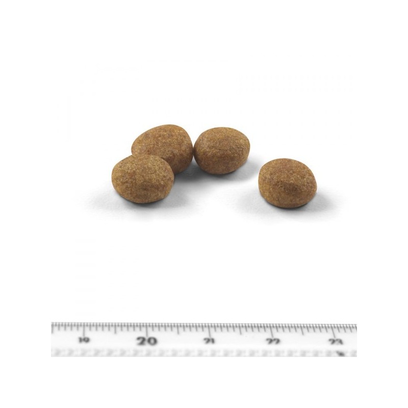 Royal Canin Sterilised 37 Pour Chat Animaux Cool Royal Canin Sterilised 37 Pour Chat Animaux Cool