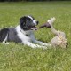 Vautour Gustav, tissu/peluche 24cm trixie