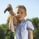 Vautour Gustav, tissu/peluche 24cm trixie