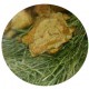FOIN DE MONTAGNE AVEC POMME 500GR