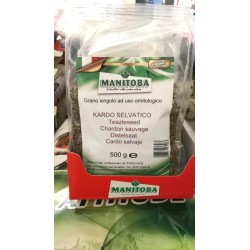 Graine de chardon sauvage 500g Manitoba