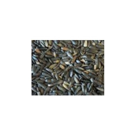 Manitoba Tournesol Noir Micro 1kg