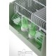 Cage de Transport Tino