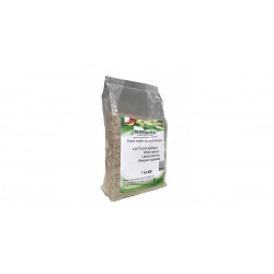 Manitoba Graines de Laitue Blanche 1kg