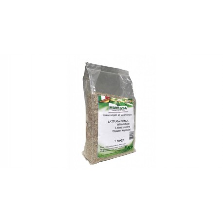 Manitoba Graines de Laitue Blanche 1kg