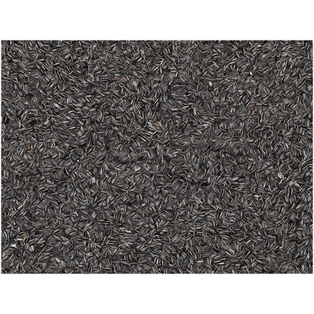 EMMA GRAINES DE TOURNESOL STRIÉES 12KG