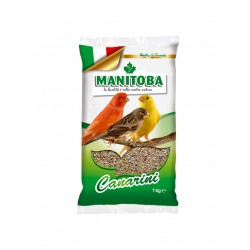 MANITOBA MELANGE CANARI T1 BISCUIT