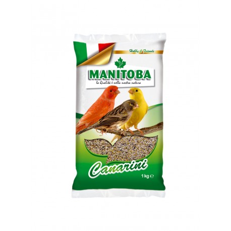 MANITOBA MELANGE CANARI T1 BISCUIT